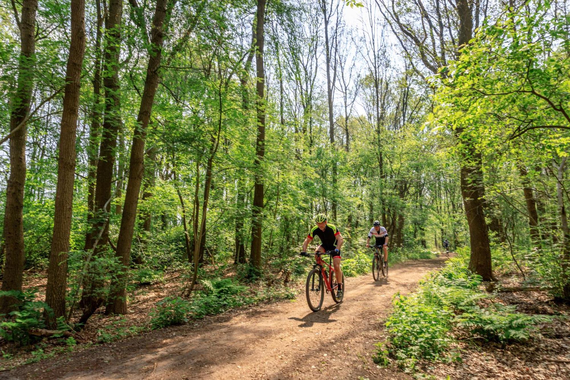Camping De Reeenwissel Hoogersmilde Exteriör bild