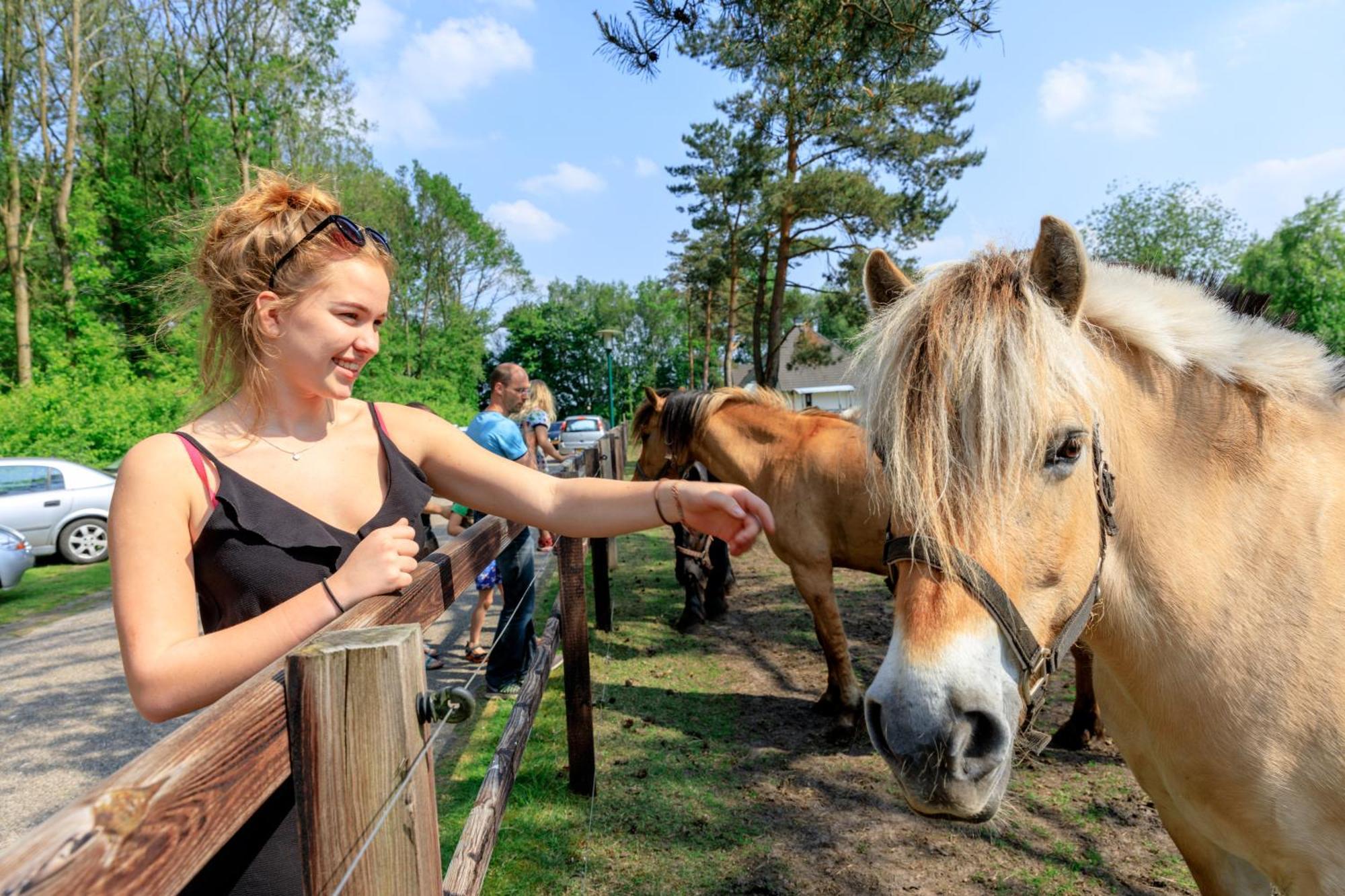 Camping De Reeenwissel Hoogersmilde Exteriör bild